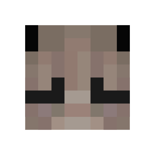 EtmisTheFox pet